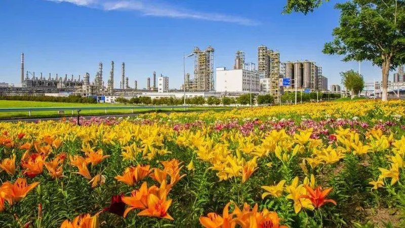佛山表面活性剂原料：揭秘其关键特性与应用**